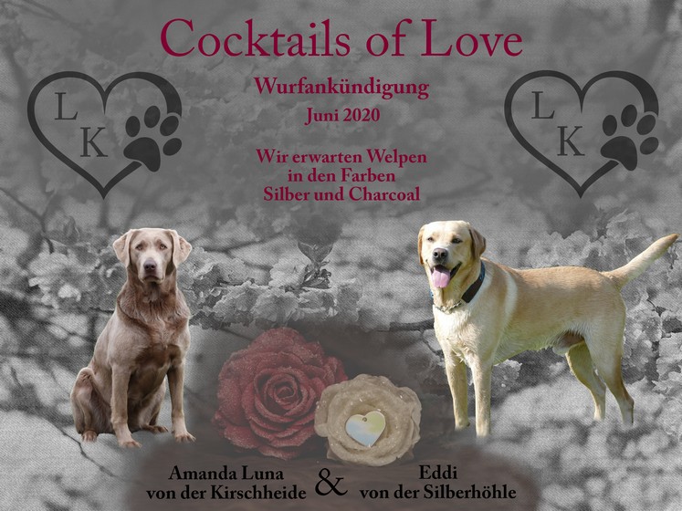 Collage von Welpen